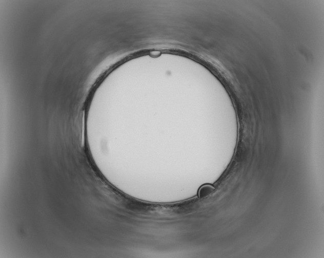 X0000113351175200910131233