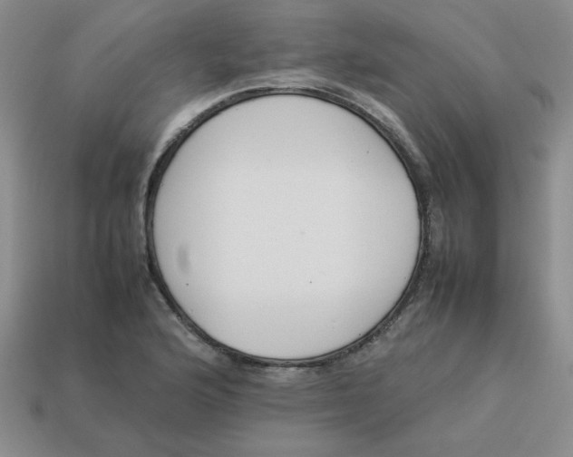 X0000113351176200910131233