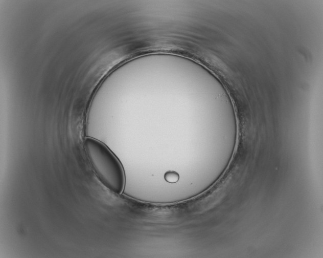 X0000113351177200910131233