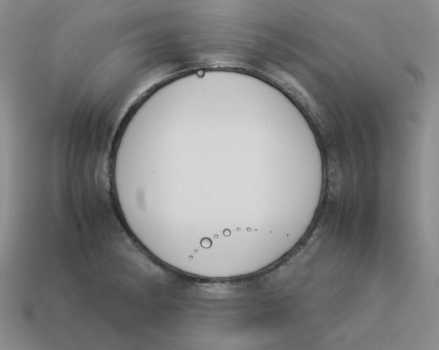 X0000113351182200910131233