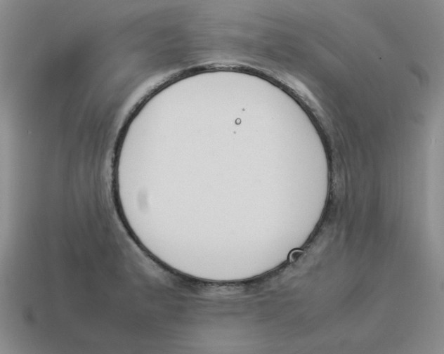 X0000113351183200910131233