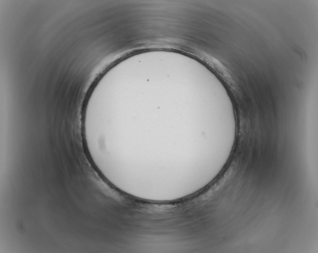 X0000113351184200910131233