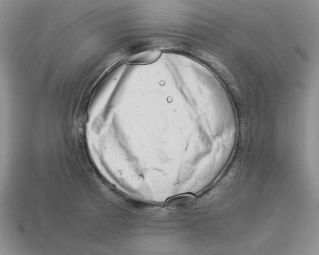 X0000113351185200910131233