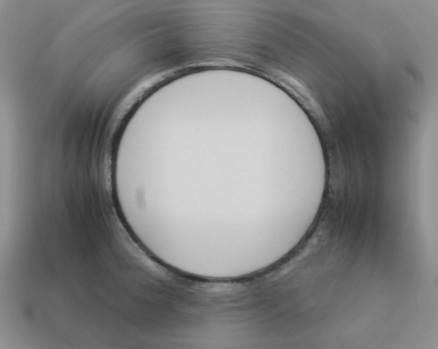 X0000113351188200910131233