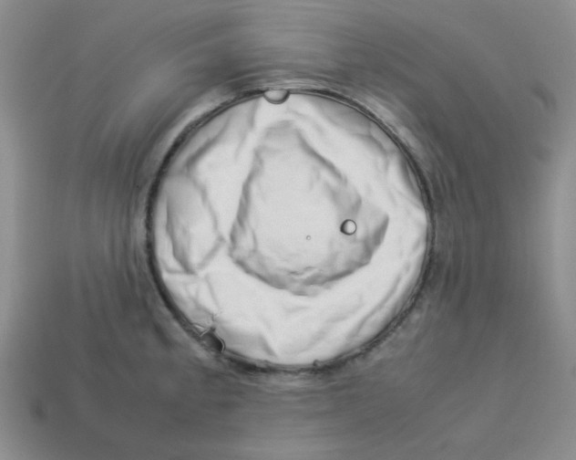 X0000113351189200910131233