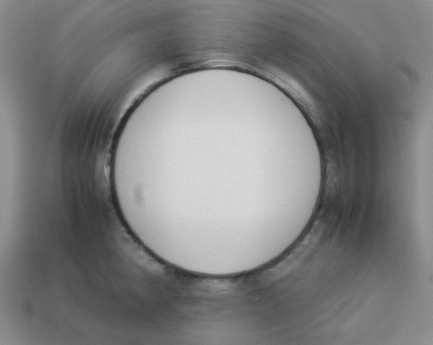 X0000113351190200910131233