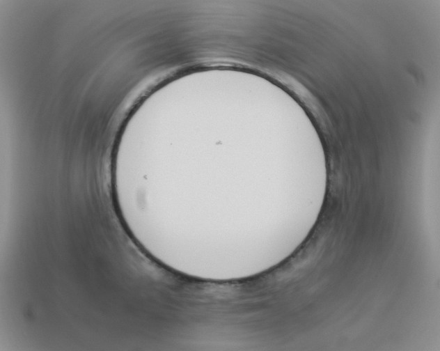 X0000113351191200910131233