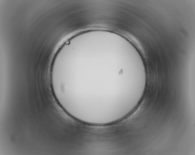 X0000113351192200910131233