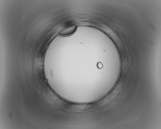 X0000113351193200910131233