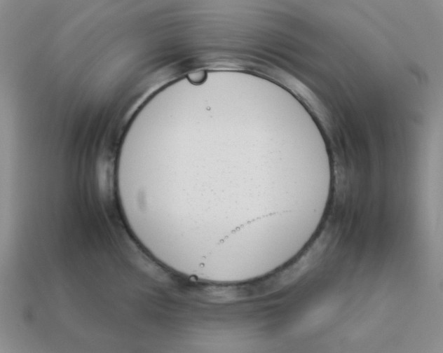 X0000113351194200910131233