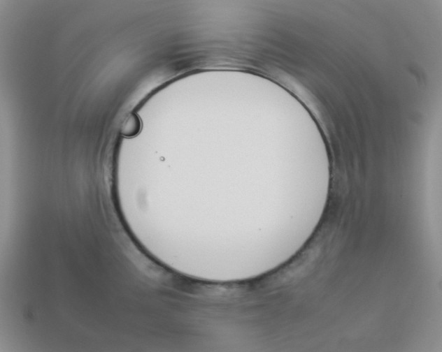 X0000113351195200910131233