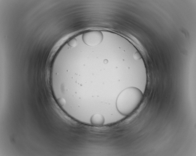 X0000113351196200910131233