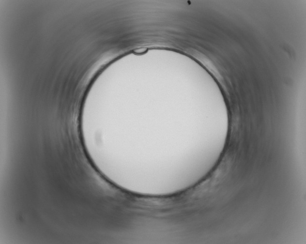 X0000113351197200910131233