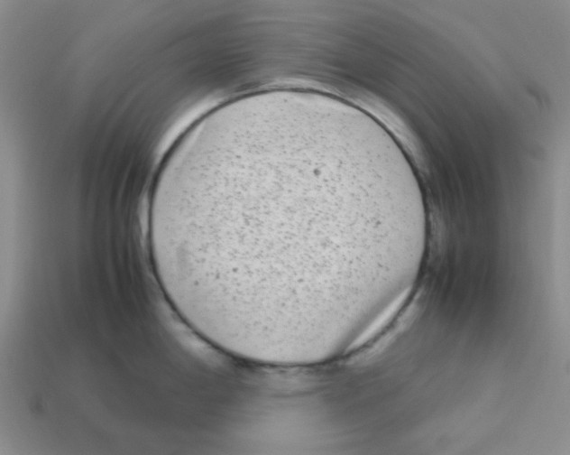 X0000113351198200910131233