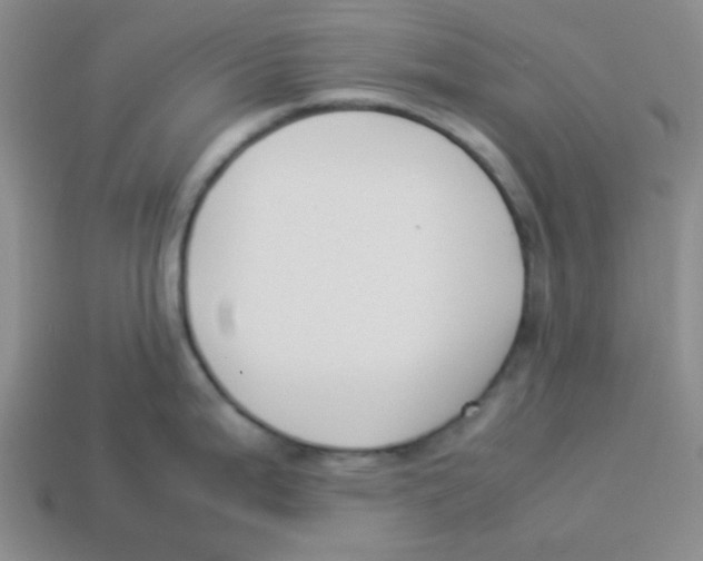 X0000113351199200910131233