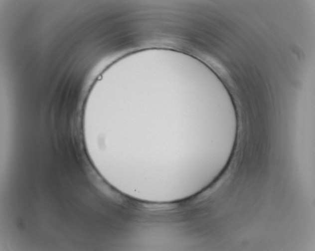 X0000113351200200910131233