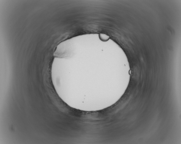 X0000113351201200910131232