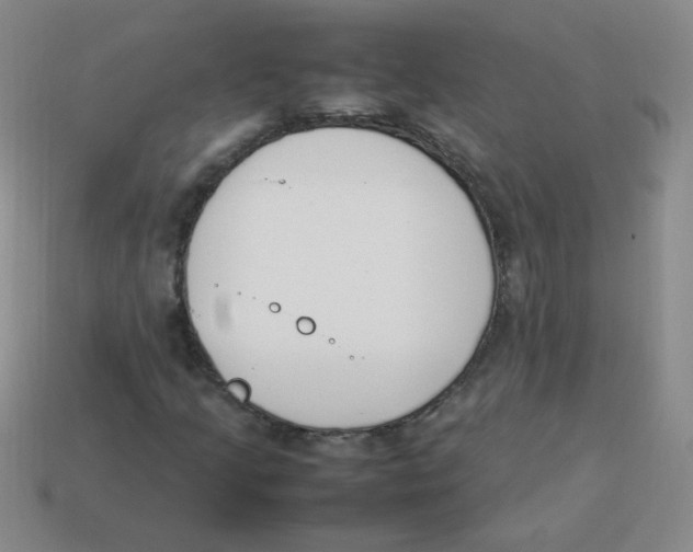 X0000113351205200910131232