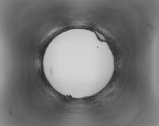 X0000113351206200910131232