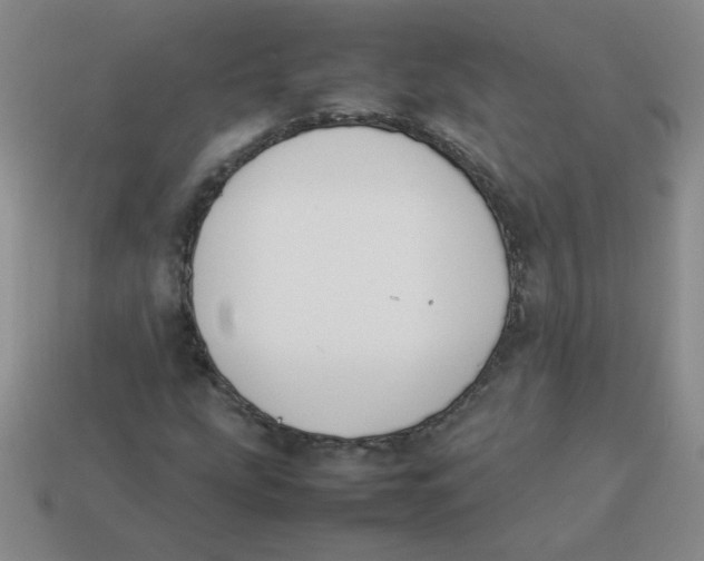 X0000113351207200910131232