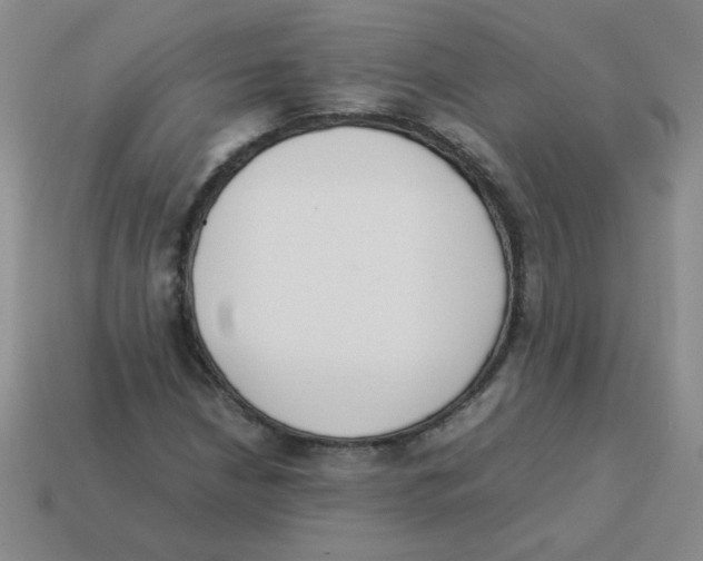 X0000113351210200910131232