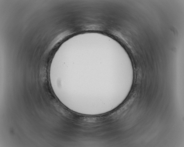 X0000113351211200910131232