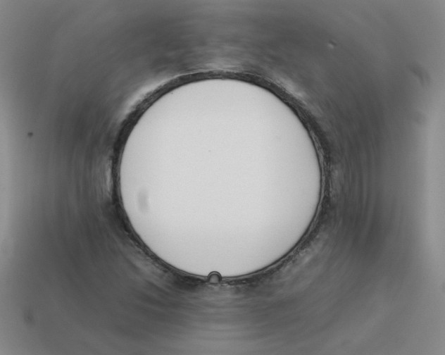 X0000113351214200910131233