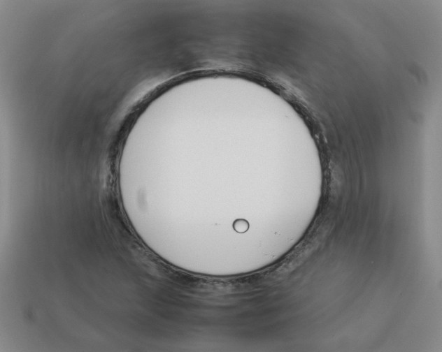 X0000113351215200910131233