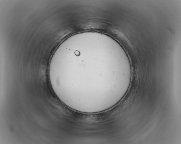 X0000113351217200910131233