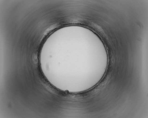 X0000113351218200910131233