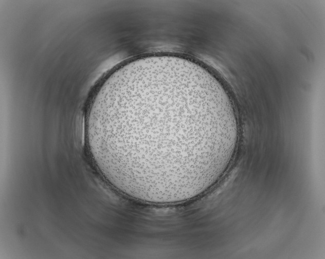 X0000113351219200910131233