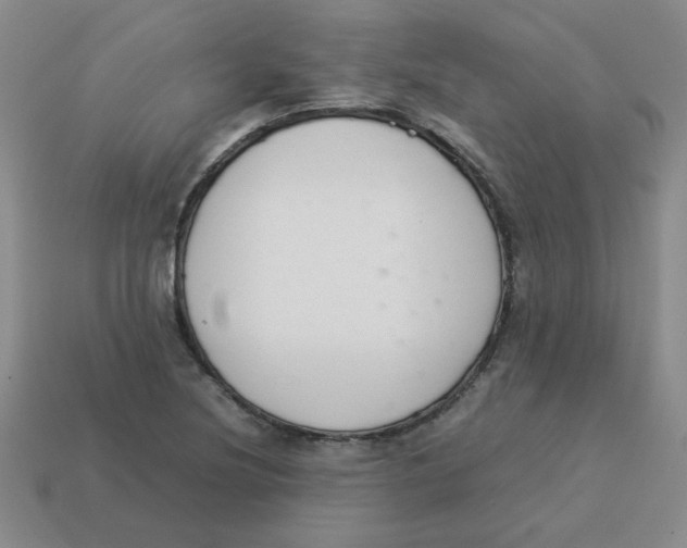 X0000113351220200910131233