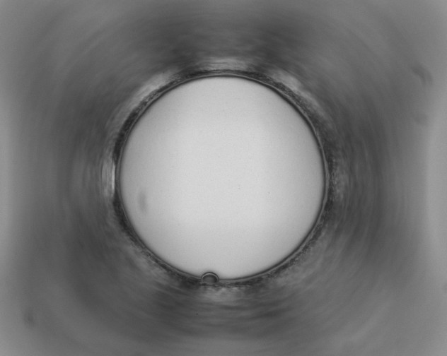 X0000113351221200910131233