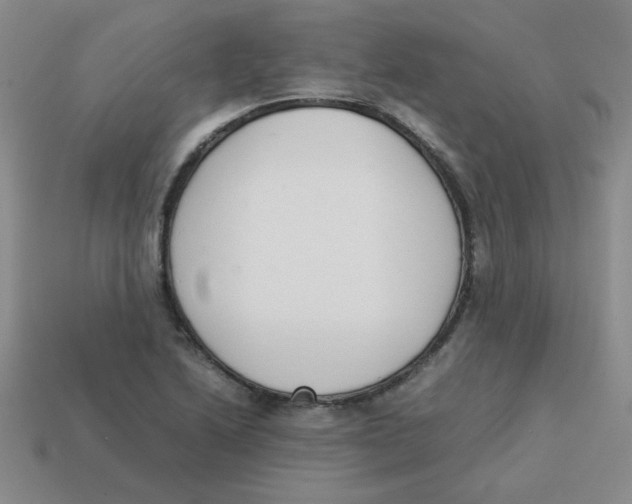 X0000113351222200910131233