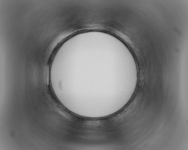 X0000113351223200910131233