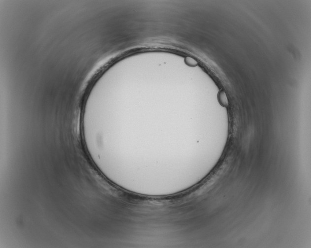 X0000113351224200910131233