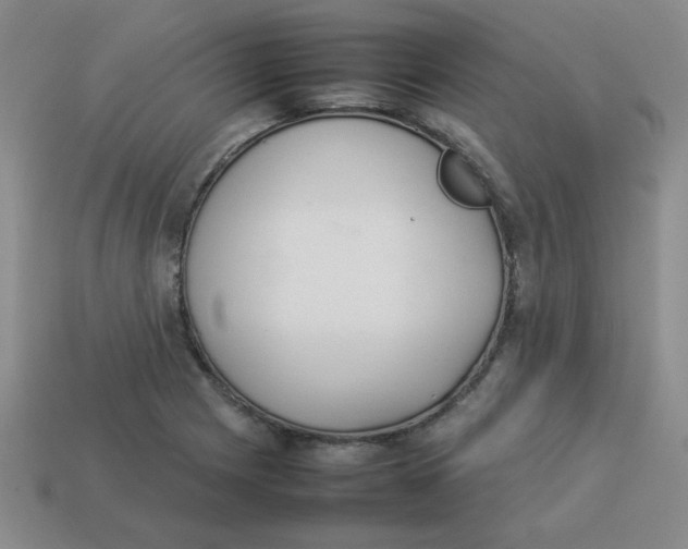 X0000113351225200910131233