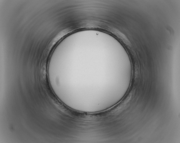 X0000113351226200910131233