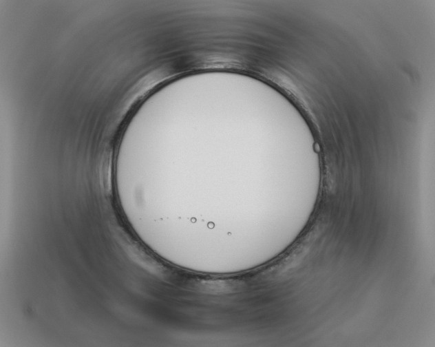 X0000113351227200910131233