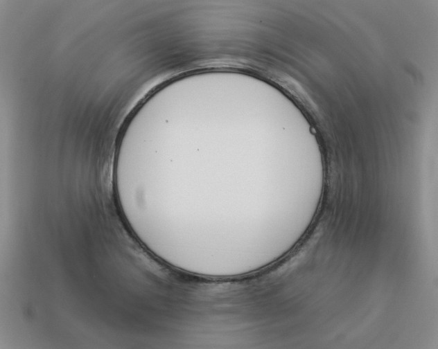 X0000113351228200910131233