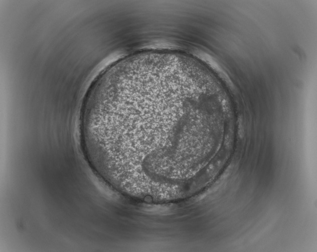 X0000113351229200910131233