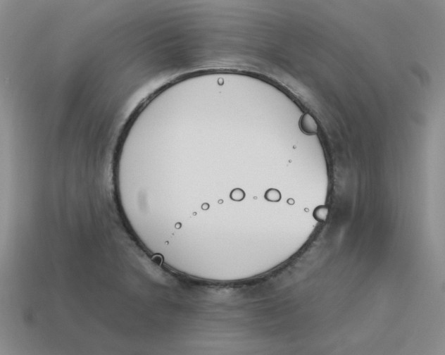 X0000113351230200910131233