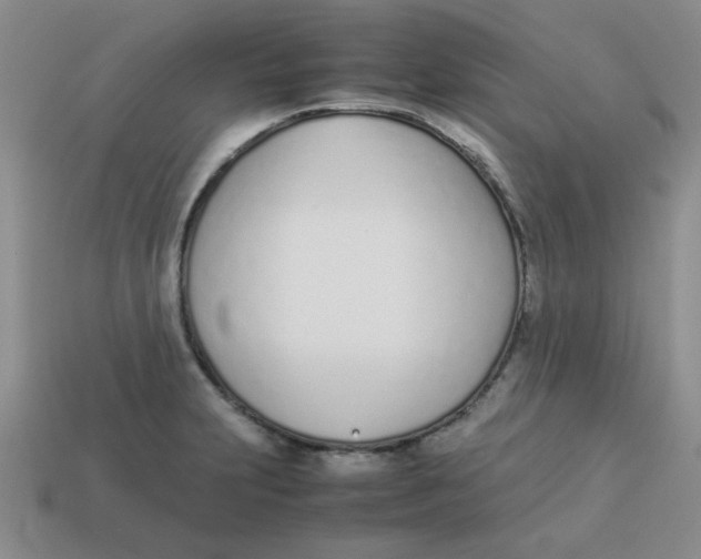 X0000113351231200910131233