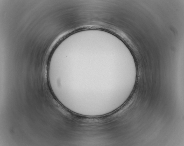 X0000113351232200910131233