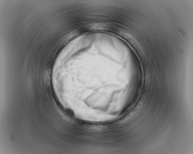 X0000113351233200910131233