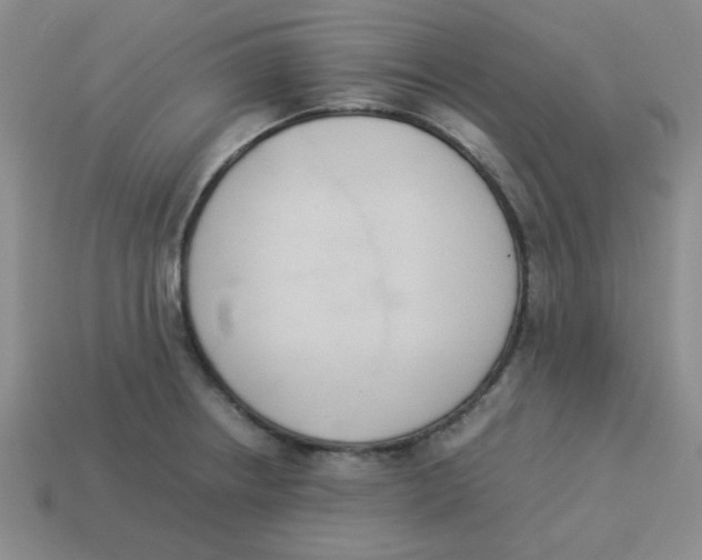 X0000113351234200910131233