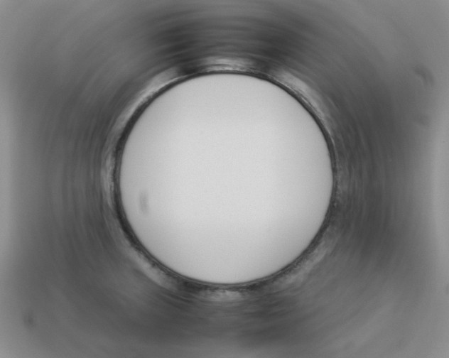 X0000113351235200910131233