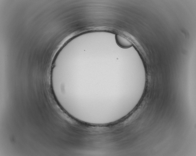 X0000113351236200910131233