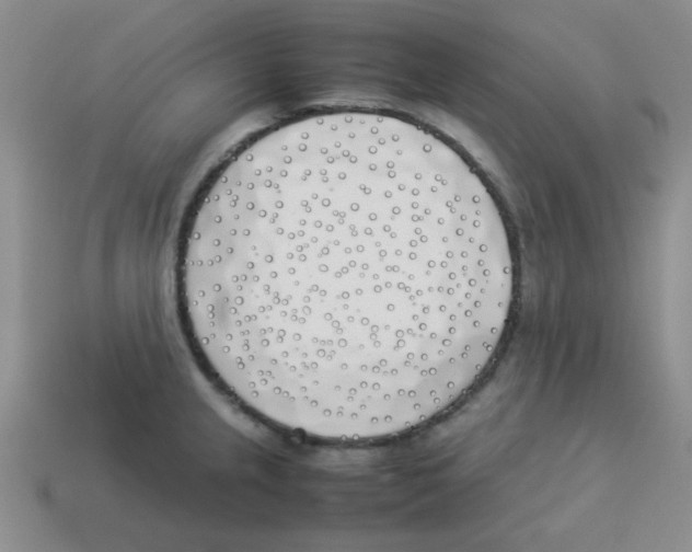 X0000113351237200910131233