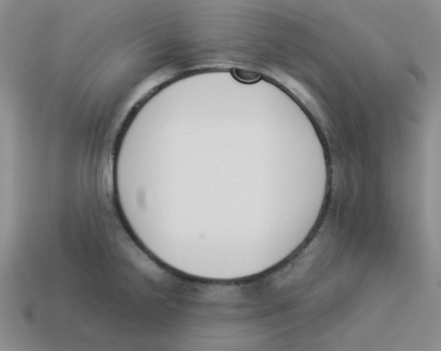 X0000113351238200910131233